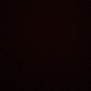 Meet your Posher, Elisa